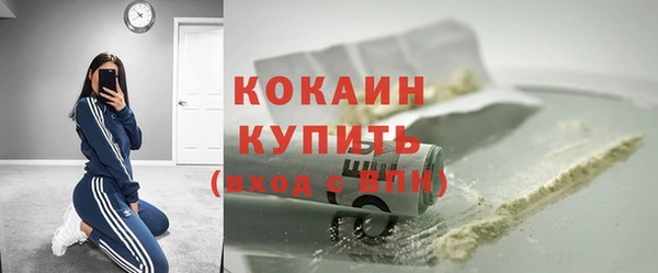 гидра Арсеньев