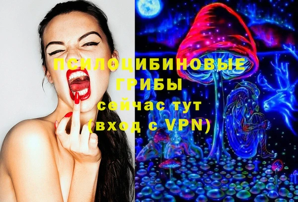 бошки Армянск