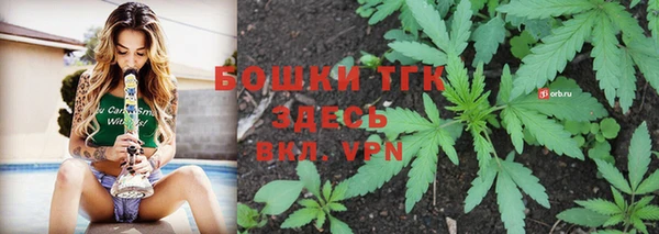 гидра Арсеньев