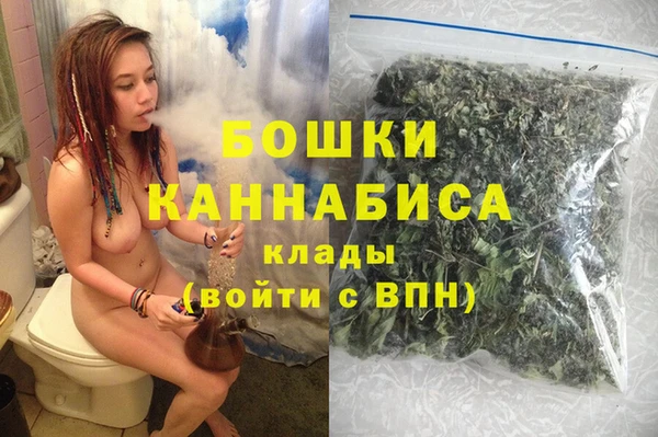 гидра Арсеньев