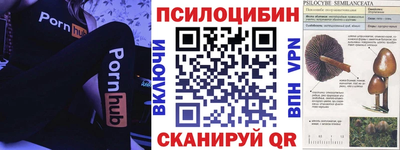 Галлюциногенные грибы мухоморы  Кадников 